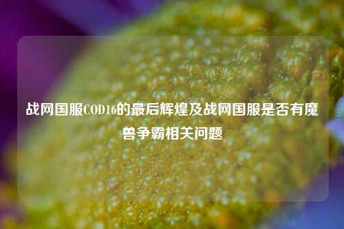 战网国服COD16的最后辉煌及战网国服是否有魔兽争霸相关问题