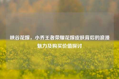 峡谷花嫁,小乔王者荣耀花嫁皮肤背后的浪漫魅力及购买价值探讨