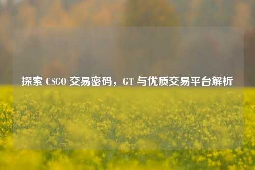 探索 CSGO 交易密码,GT 与优质交易平台解析
