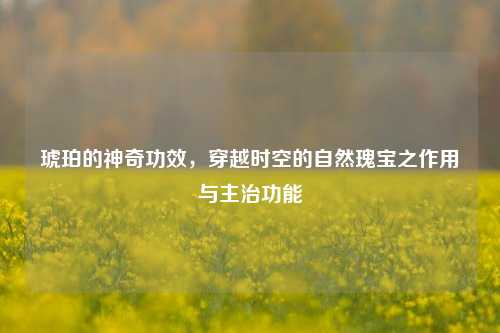 琥珀的神奇功效，穿越时空的自然瑰宝之作用与主治功能