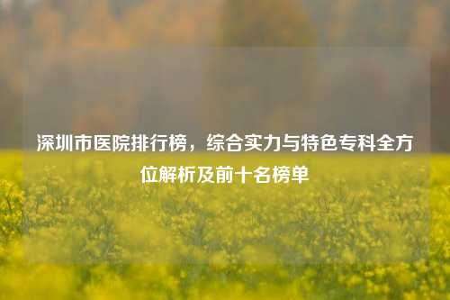 深圳市医院排行榜,综合实力与特色专科全方位解析及前十名榜单