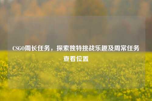 CSGO周长任务,探索独特挑战乐趣及周常任务查看位置