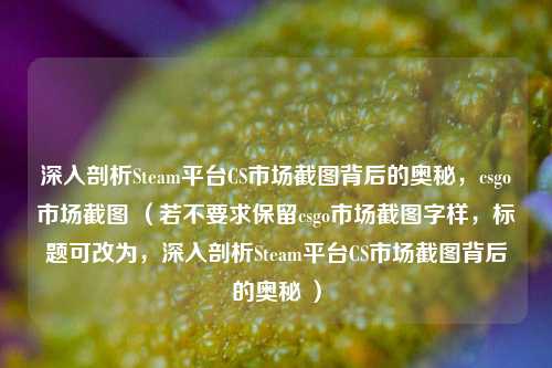 深入剖析Steam平台CS市场截图背后的奥秘,csgo市场截图 (若不要求保留csgo市场截图字样,标题可改为,深入剖析Steam平台CS市场截图背后的奥秘 )