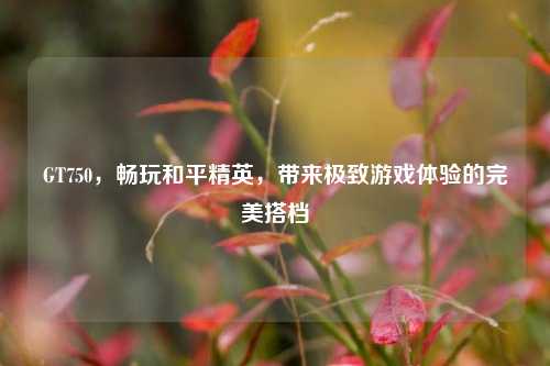 GT750,畅玩和平精英,带来极致游戏体验的完美搭档