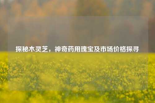探秘木灵芝，神奇药用瑰宝及市场价格探寻