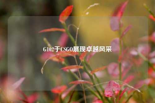 G102于CSGO展现卓越风采