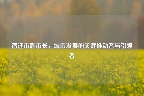 宿迁市副市长,城市发展的关键推动者与引领者