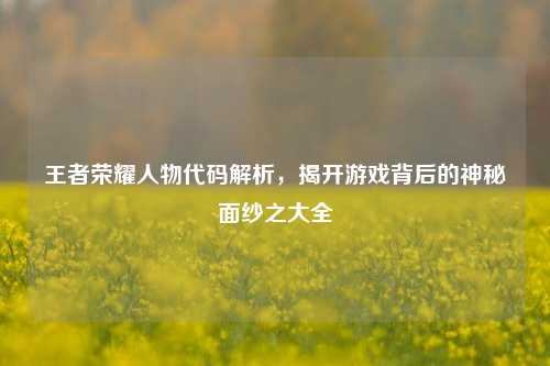 王者荣耀人物代码解析,揭开游戏背后的神秘面纱之大全