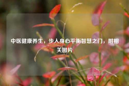 中医健康养生,步入身心平衡智慧之门,附相关图片