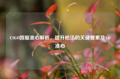 CSGO国服准心解析,提升枪法的关键要素及1.6准心