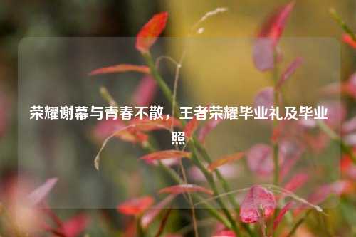 荣耀谢幕与青春不散，王者荣耀毕业礼及毕业照