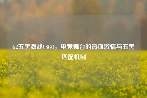 G2五黑激战CSGO,电竞舞台的热血激情与五黑匹配机制