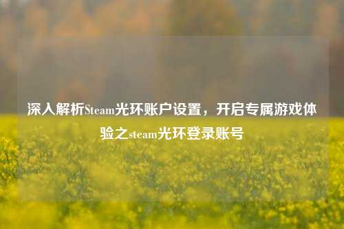 深入解析Steam光环账户设置，开启专属游戏体验之steam光环登录账号