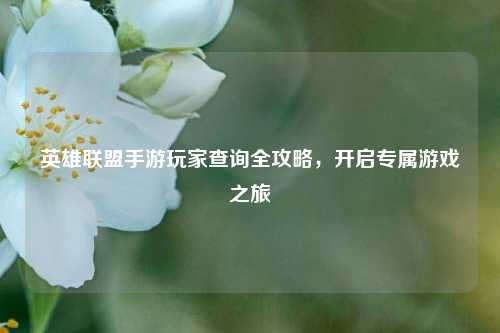 英雄联盟手游玩家查询全攻略,开启专属游戏之旅