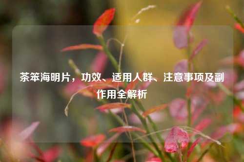 茶笨海明片，功效、适用人群、注意事项及副作用全解析