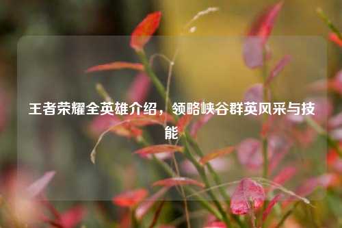 王者荣耀全英雄介绍,领略峡谷群英风采与技能