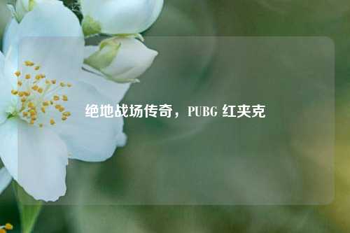 绝地战场传奇,PUBG 红夹克