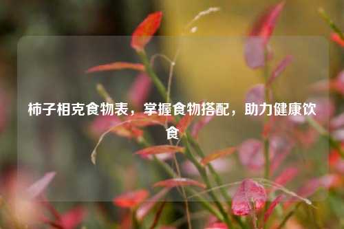 柿子相克食物表，掌握食物搭配，助力健康饮食